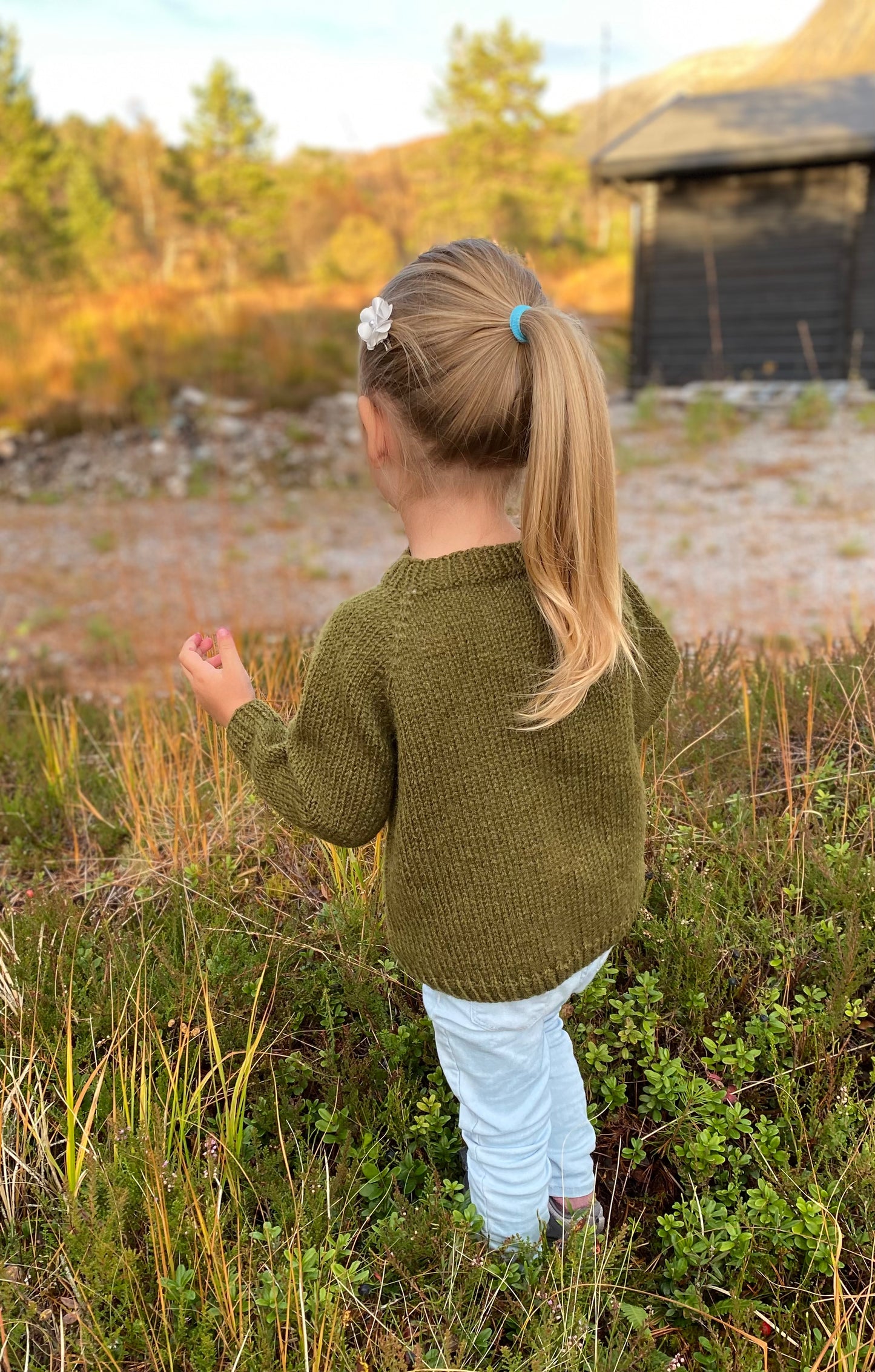 Sverres Hverdagsgenser Junior (Norsk)