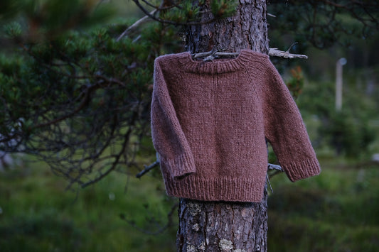 Solveig Sweater Junior (English)